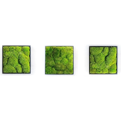 Gardners Set 3 mechových obrazů 22x22 kombinovaný mech kopečkový s plochým, černá