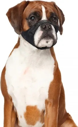 DUVO Boxer намордник за куче - обиколка 51-71 см, Белгия - 4705135