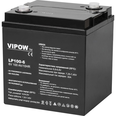 Vipow 6V 100Ah BAT0206