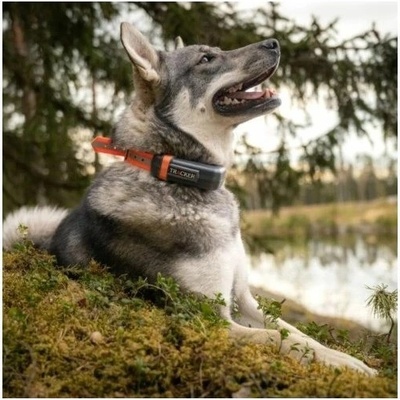 Tracker Sledovací GPS obojek LUNA