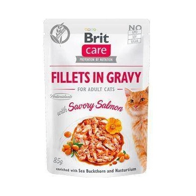 Brit Care Filety z lososa v omáčke 24 x 85 g