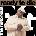 Notorious B. I. G Notorious B. I. G. - Ready To Die (Remastered) (2 LP) (81227964252)