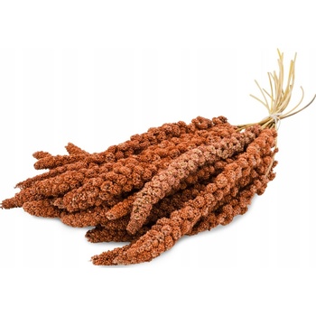 JR Farm Pochúťky zmes 0,5 kg