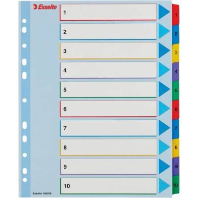 Registrová kniha ESSELTE A/4, laminovaný kartón, prepisovateľná, 1–10, 100208