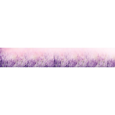 Dimex KI350-124 Fototapeta za linku Levander rozměry 350 x 60 cm