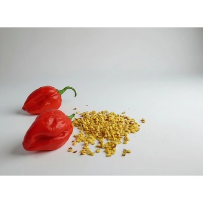 Habanero red semienka 10 ks
