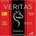 DR Strings VTE-10 Veritas