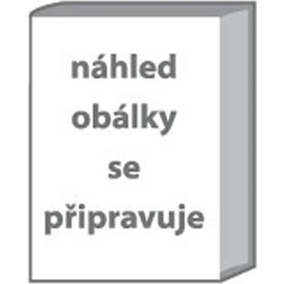 Povídky - 2.vydání - Ernest Hemingway