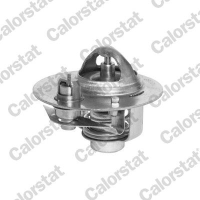 Termostat, chladivo CALORSTAT BY VERNET TH5980.88J