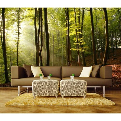 Dimex XL-131 vliesová fototapeta na zeď Forest rozměry 330 x 220 cm