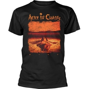 Alice In Chains Distressed Dirt Тениска с къс ръкав Black L (PH14022L)