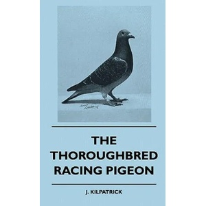 The Thoroughbred Racing Pigeon | J. Kilpatrick (ISBN: 9781445515786)