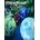 Mindball Play