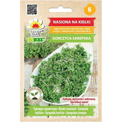 MultiFlora Horčica hnedá (Sarepská) - semená na klíčenie 30 g