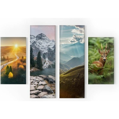 FotoŠkoda Viacdielny obraz - 2 fotoplátne 30 × 60 cm a 2 fotoplátne 30 × 90 cm