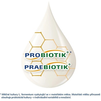 HiPP 2 BIO Combiotik 500 g