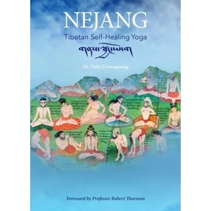 Nejang | Robert Thurman (ISBN: 9781950153039)