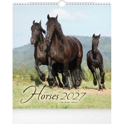 nástěnný malý Horses 1061735 2027