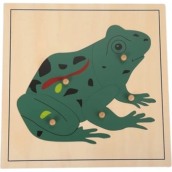 Image 1 of Smart Baby Дървен пъзел с животни Smart Baby - Жаба, 5 части (MO47-1)