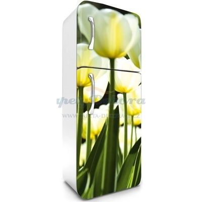 Dimex FR180-026 Samolepící fototapeta na lednice White Tulips rozměry 65 x 180 cm