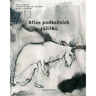 Atlas podkožních zážitků/ K problematice viděného