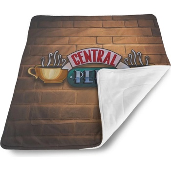 Sablio Detská deka pre bábätko Seriál přátelé CENTRAL PERK Cihly