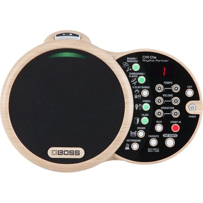 Boss DR-01S Rhythm Partner