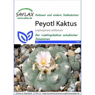 Saflax Kaktus Peyotl 1 bal.