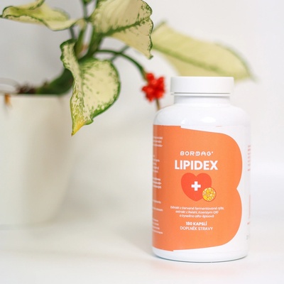 Bormag Lipidex červená rýže monakolin K reishi, Q10, ALA 180 kapslí