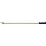 Tombow Цветен молив Irojiten hydrangea blue (CI-RDL8)