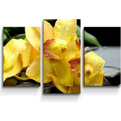 Sablio Obraz - 3-dílný Žluté orchideje - 75x50 cm
