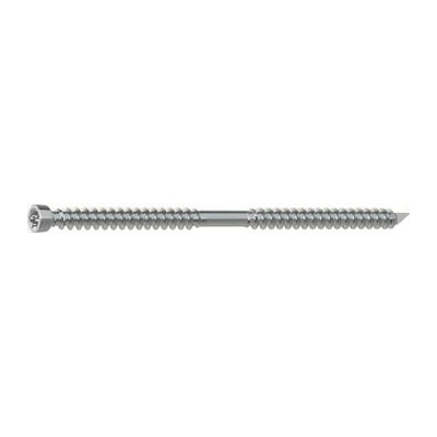 SFS upevňovací vrut WT-T bez nutnosti předvrtání 8.2x160, Torx 40, pozink (100 ks)