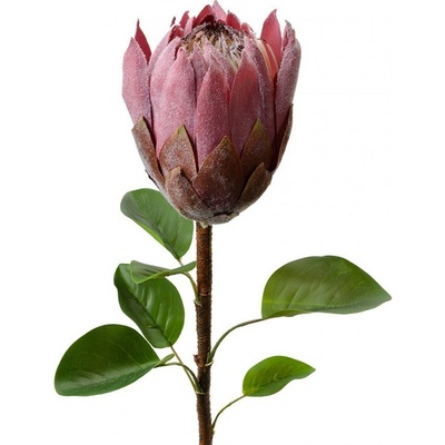 Fialová umelá dekorácia kvetina Protea - 10*10*65 cm - Clayre & Eef