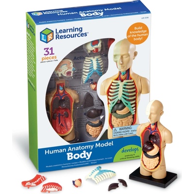 Learning Resources Anatomický model lidského těla