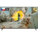 Panasonic TX-49FX700E