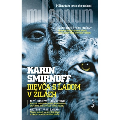 Dievča s ľadom v žilách - Karin Smirnoff