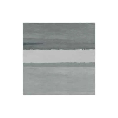 PAW AIRLAID Ubrousky Fluid grey 50ks 40x40cm