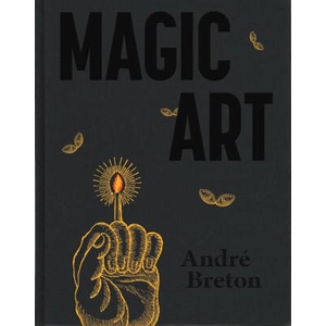 Magic Art | Merlin Cox, Robert Shehu-Ansell, Dawn Ades, Krzysztof Fijalkowski, Michael Richardson (ISBN: 9781399971188)