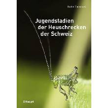 Jugendstadien der Heuschrecken der Schweiz