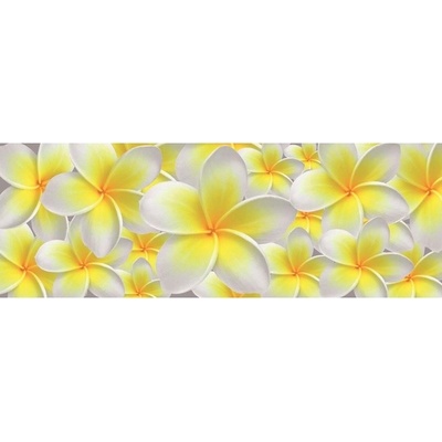 Preinterier Fototapeta - FT0222 - vlies - 832cm x 254cm