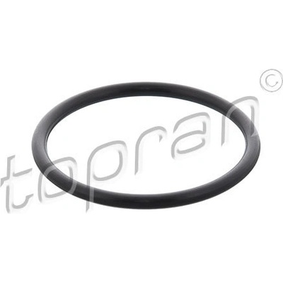Tesnenie turbodúchadla TOPRAN 208 313