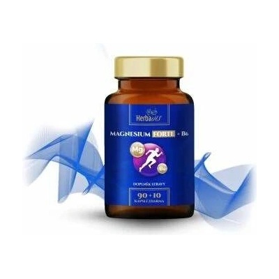 Herbavis Magnesium FORTE + B6 100 kapslí