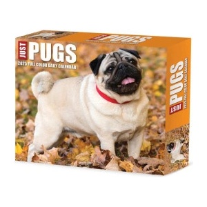 Willow Creek Press Calendars Just Pugs 2026 5.4 X 6.2 Box Calendar | Willow Creek Press