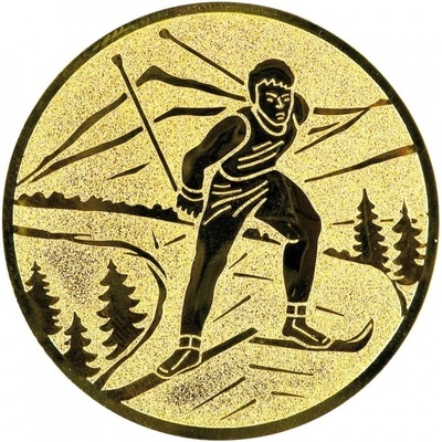 Emblém E159 lyže běžky