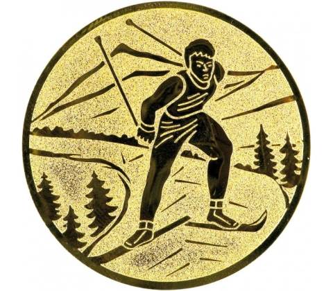 Emblém E159 lyže běžky