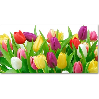 Foto-obraz fotografie na skle farebné tulipány 100x50 cm