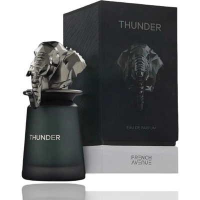 French Avenue Thunder parfumovaná voda pánska 100 ml