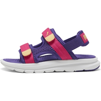 PUMA evolve 12