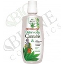 BC Bione Cosmetics Dentamint ústní voda Cannabis 500 ml
