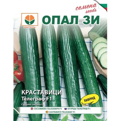 Opal Zi Краставица Телеграф f1